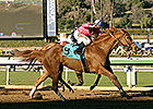 Sam's Sister Heads Seven for Santa Monica Sam's Sister Heads Seven for Santa Monica