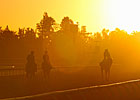 Countdown to the Cup: Welcome to California