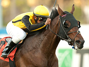 Sanagas Crushes Hollywood Turf Cup Sanagas Crushes Hollywood Turf Cup