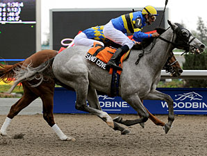 Sand Cove is Seagram Cup Highweight Sand Cove is Seagram Cup Highweight