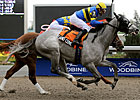 Sand Cove is Seagram Cup Highweight