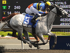 Canadian Champion Sand Cove Dies Canadian Champion Sand Cove Dies