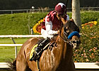 Sangaree Scratched; Kelso Down to Four Sangaree Scratched; Kelso Down to Four