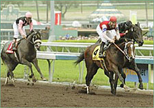Kentucky Derby Trail: From Paupers to Princes Kentucky Derby Trail: From Paupers to Princes