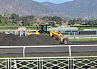 Southern CA Synthetic Track Era Nears End Southern CA Synthetic Track Era Nears End