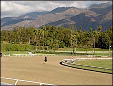 Cushion Track Gets Thumbs-Up at Opening of Oak Tree Meet Cushion Track Gets Thumbs-Up at Opening of Oak Tree Meet