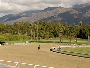 Santa Anita's Track Decision Due in May Santa Anita's Track Decision Due in May