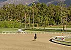 Race Surfaces Dominate California Summit Talk Race Surfaces Dominate California Summit Talk