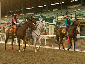 New Santa Anita Dirt Handles Record Rainfall New Santa Anita Dirt Handles Record Rainfall