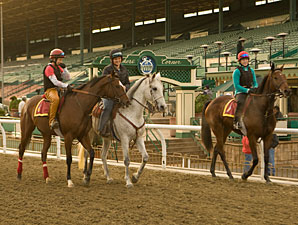 Santa Anita 'Feeling Way' With New Surface Santa Anita 'Feeling Way' With New Surface