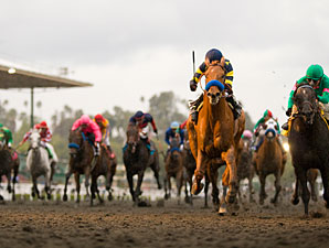 Santa Anita Track Repair Discussed at Meeting Santa Anita Track Repair Discussed at Meeting
