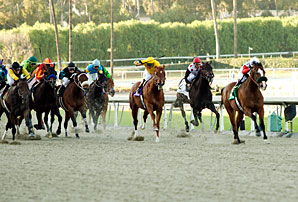 Santa Anita Opens and Records Fall Santa Anita Opens and Records Fall