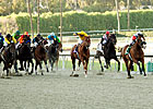 Santa Anita Opens and Records Fall