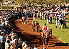 Stronach Says He Wants to Protect Santa Anita Stronach Says He Wants to Protect Santa Anita