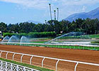 Santa Anita's Main Track to Reopen Sept. 2 Santa Anita's Main Track to Reopen Sept. 2