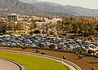 Santa Anita to Replace Dirt Track in July Santa Anita to Replace Dirt Track in July