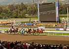Santa Anita Continues to Look at Surface Santa Anita Continues to Look at Surface