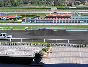 CHRB Grants Waivers to MI Developments CHRB Grants Waivers to MI Developments