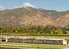 Santa Anita Visit Fulfills A Dream Santa Anita Visit Fulfills A Dream