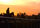 A Horse For My Kingdom - by Susan H. Kennedy