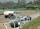 Santa Anita Surface Overhaul in Progress