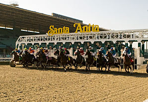 Santa Anita Delays Surface Decision Santa Anita Delays Surface Decision
