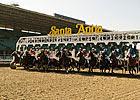Santa Anita Delays Surface Decision Santa Anita Delays Surface Decision