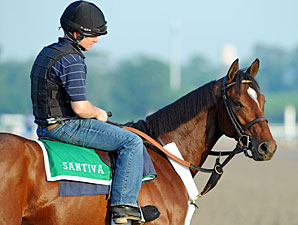 Grade II Winner Santiva Retired Grade II Winner Santiva Retired