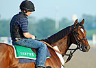 Grade II Winner Santiva Retired