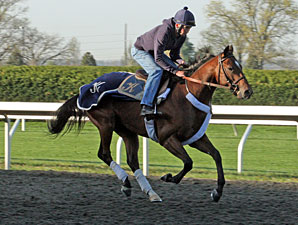Santiva Breezes at Churchill Downs Santiva Breezes at Churchill Downs
