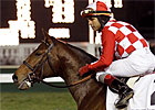 Large Field Expected for Blue Grass Stakes Large Field Expected for Blue Grass Stakes