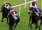 Saoirse Abu Dominates in Moyglare Stud