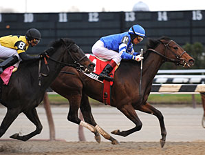 Sara Louise Popular Winner in Top Flight 'Cap Sara Louise Popular Winner in Top Flight 'Cap