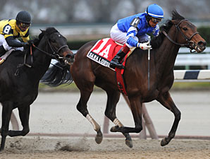 Sara Louise Looks for Repeat in Top Flight Sara Louise Looks for Repeat in Top Flight