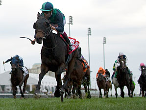 Filly Sarah Lynx Wins Canadian International Filly Sarah Lynx Wins Canadian International
