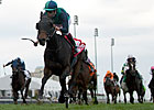Filly Sarah Lynx Wins Canadian International Filly Sarah Lynx Wins Canadian International