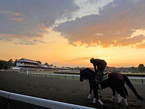 NYRA Releases 30-Day Comparisons for Spa NYRA Releases 30-Day Comparisons for Spa