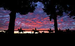 With Solid Gains, Saratoga Meet Called 'Smashing' With Solid Gains, Saratoga Meet Called 'Smashing'