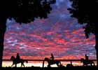 With Solid Gains, Saratoga Meet Called 'Smashing'