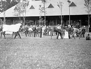 Racing Hall of Fame Unveils Saratoga Exhibit Racing Hall of Fame Unveils Saratoga Exhibit