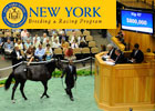 Fasig-Tipton Saratoga Sale: Day 1 Recap