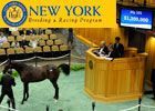 Fasig-Tipton Saratoga Sale: Day 2 Recap