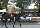 Saratoga Diary: Mornings on the Backstretch Saratoga Diary: Mornings on the Backstretch