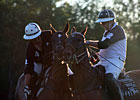 Vic Zast's Saratoga Diary: Photo Finishes Vic Zast's Saratoga Diary: Photo Finishes