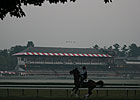 Saratoga Diary: Twice Upon a Time Saratoga Diary: Twice Upon a Time