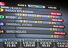 Vic Zast's Saratoga Diary: Last Gasp Vic Zast's Saratoga Diary: Last Gasp
