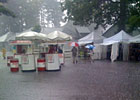 Saratoga Diary: Looking Forward