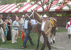 Saratoga Diary: Downwards-wise Saratoga Diary: Downwards-wise