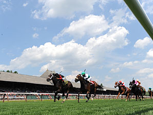 New York Equine Safety Rules Approved New York Equine Safety Rules Approved