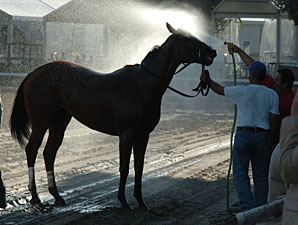 Saratoga Taking Hot Weather Precautions Saratoga Taking Hot Weather Precautions